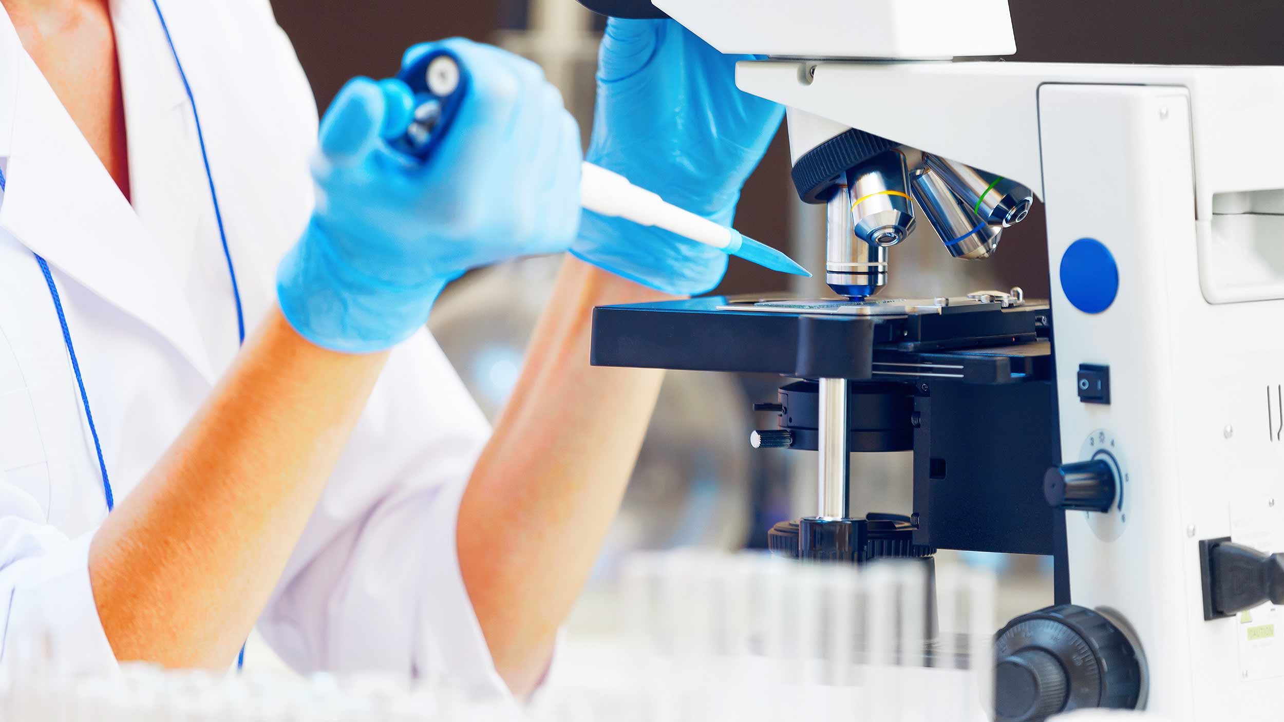 The Genetic Map Of The Jewish Diasporas Defined By New Genetic Study
