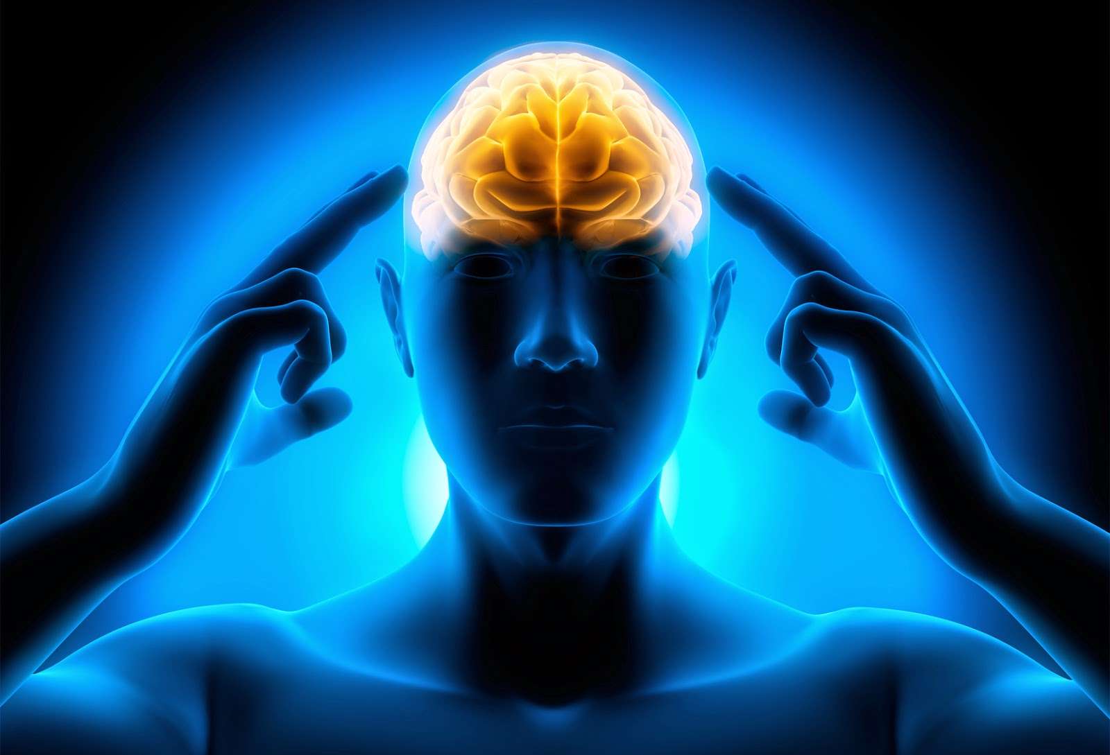 Imaging and Imagination