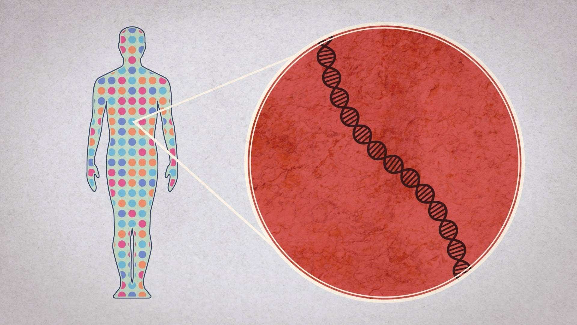 Decoding Human Genome & Obesity